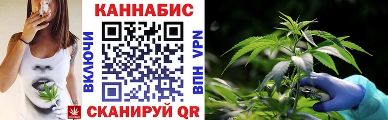 KRAKEN ONION Эртиль Канабис Amnesia
